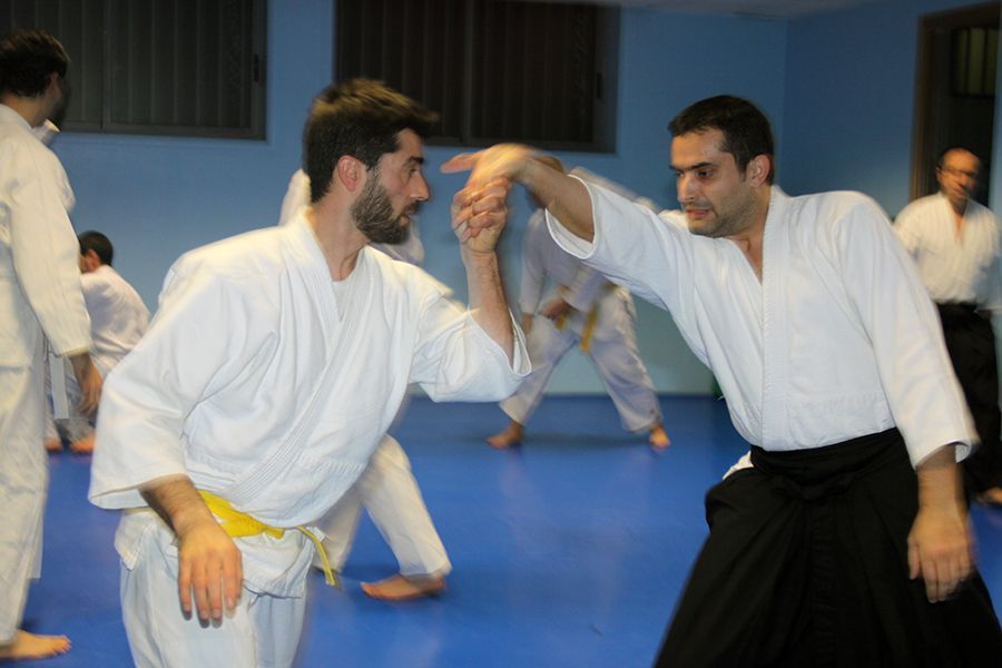 aikido