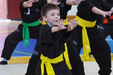 NIÑOS KUNG FU